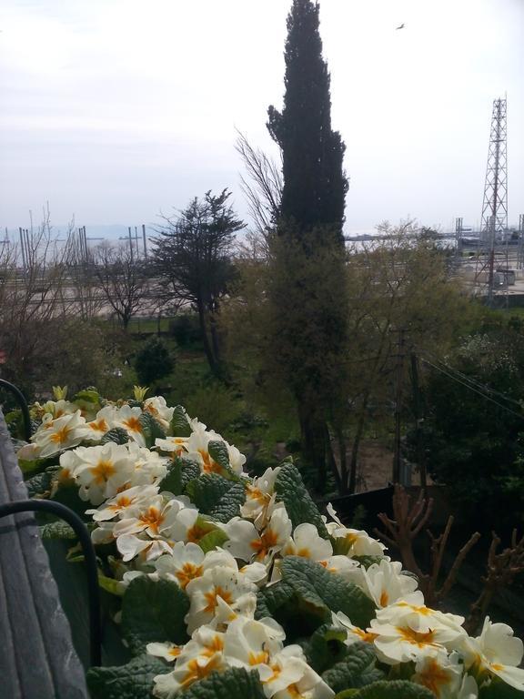 Pendik Marine Hotel Стамбул Екстер'єр фото